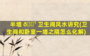 半墙 🌹 卫生间风水讲究(卫生间和卧室一墙之隔怎么化解)